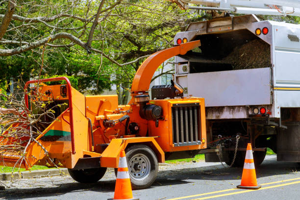 Best Tree Branch Trimming  in Grosse Pointe Park, MI